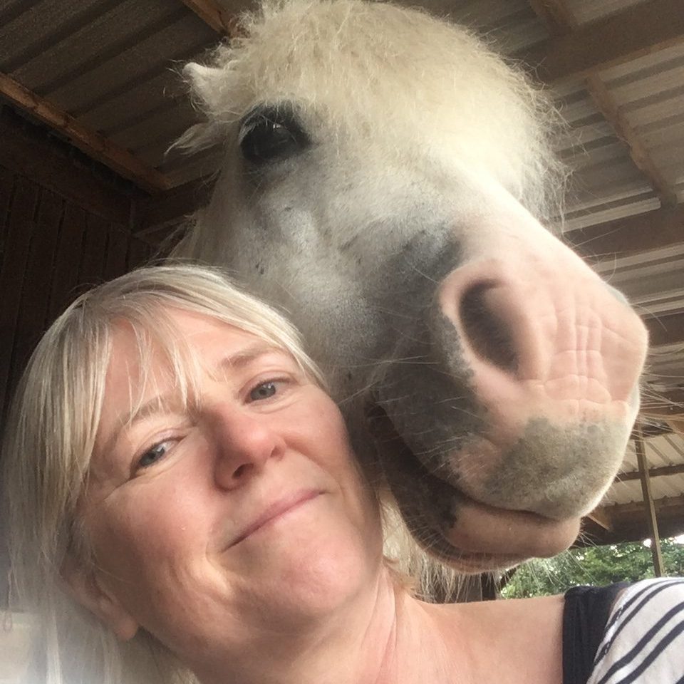 Equine facilitated psychotherapy Sussex